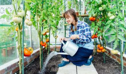 jardin potager biologique