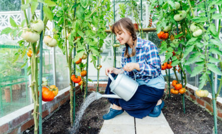 jardin potager biologique